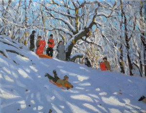 Slittino nei boschi di Allestree, 2011